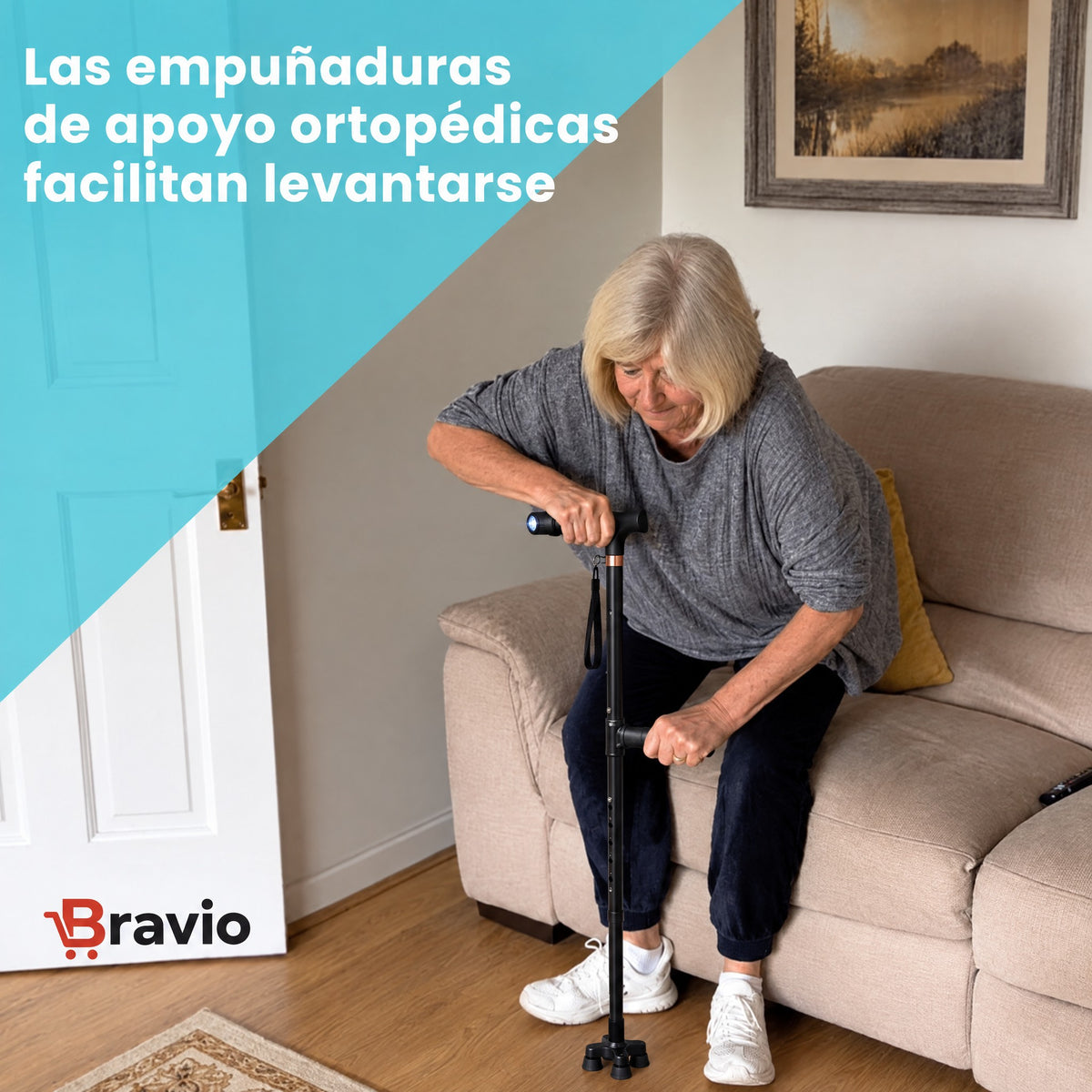 Bastón de apoyo Bravio